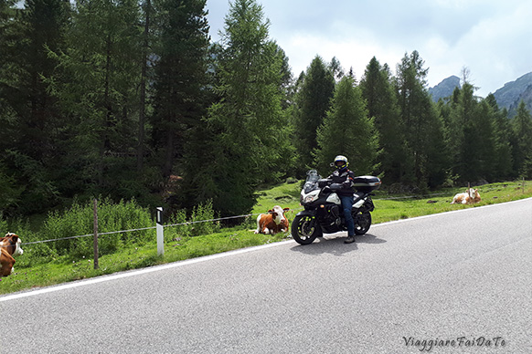 strade natura austria