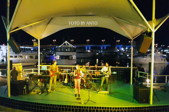 Baia di Biscayne bayside live
